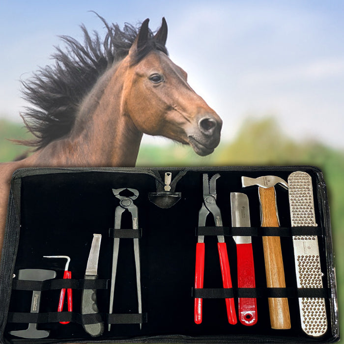 Farriers Equine Equipments Professional Premium Quality Farriers Tools Hoof Nipper Trimmer Cutter Trimming Tool Kits