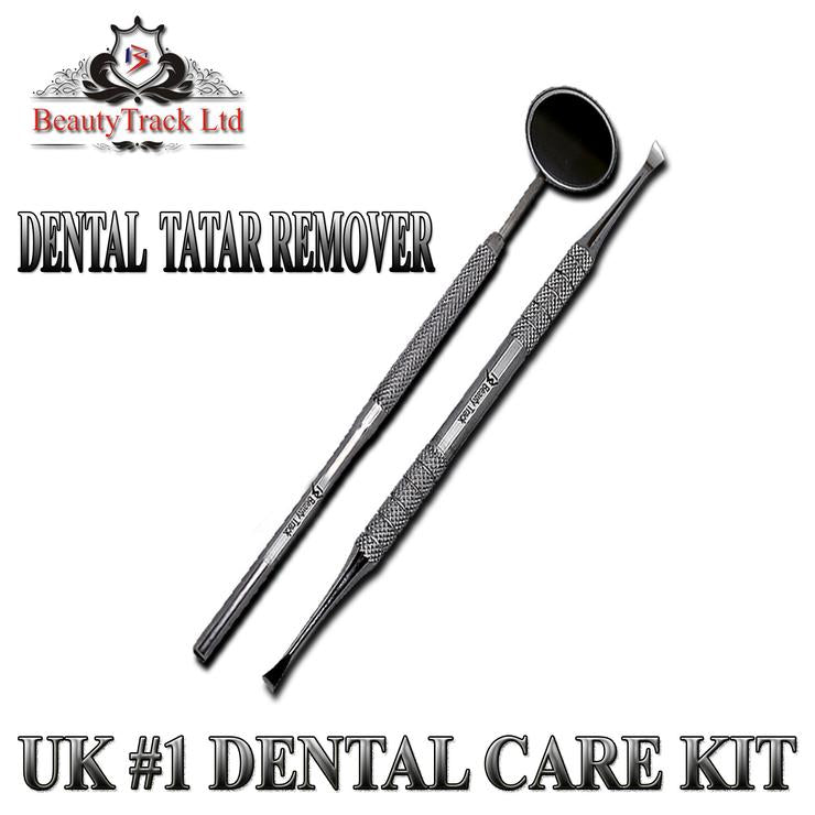 Professional Dental Probe Tartar Scaler Tooth Pick Dentist Tools