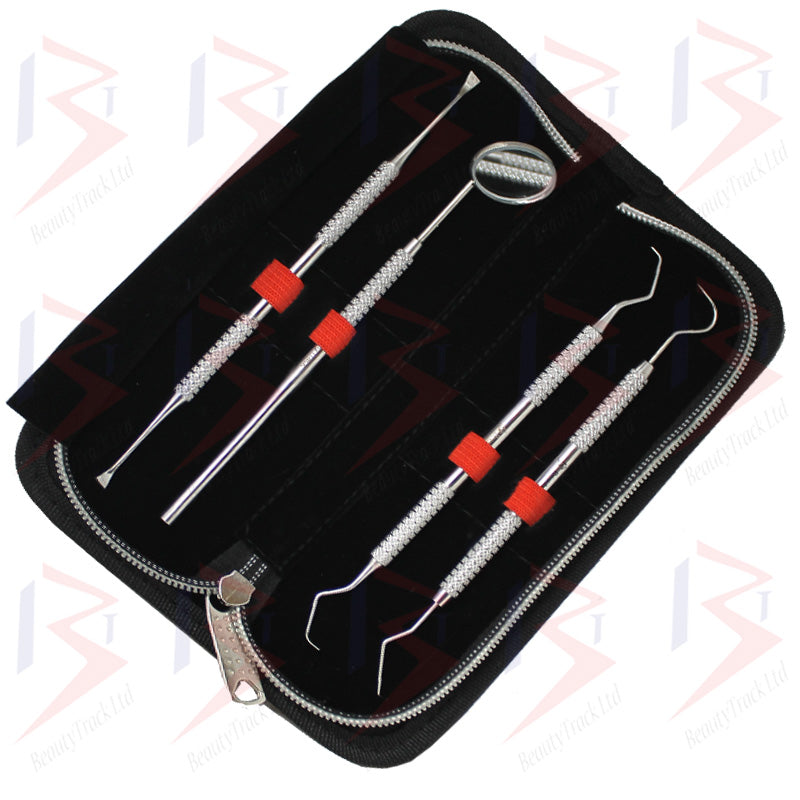 BeautyTrack – ensemble de détartreur de miroir dentaire, cure-dents, grattoir, Kit de nettoyage