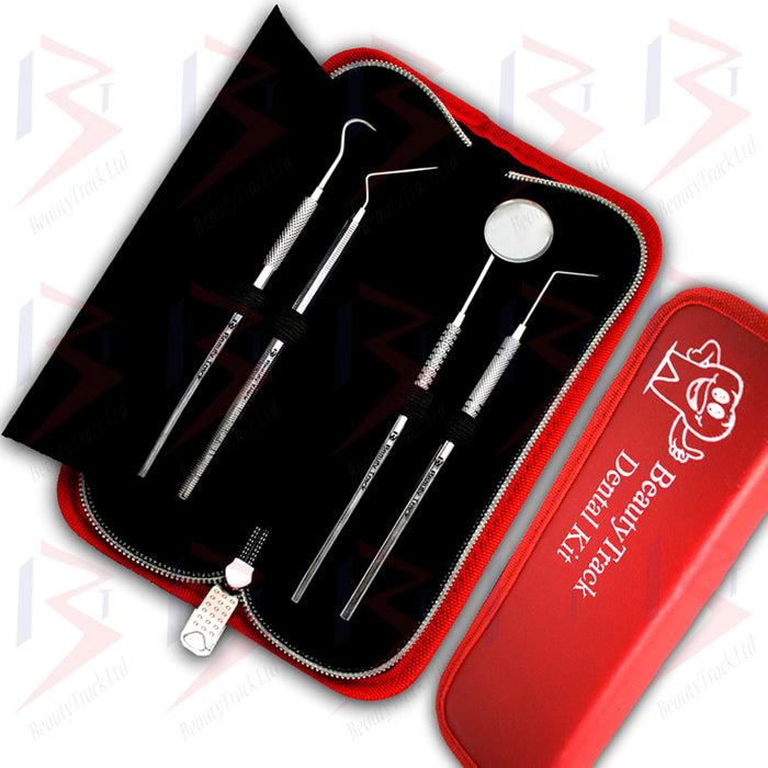 BeautyTrack Détartreur dentaire Sondes Pick Set Bouche Miroir Kit d'outils en acier