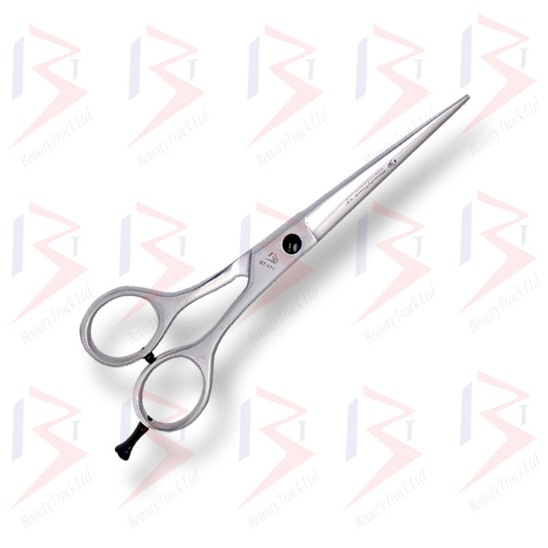 BeautyTrack Friseurscheren-Set, Effilierschere für den Salon, 5,5 Zoll, Silber