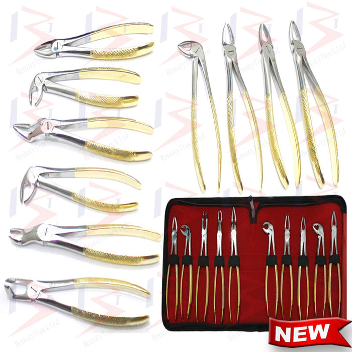 Tooth Extraction Tools Names Teeth Extraction Instruments Names