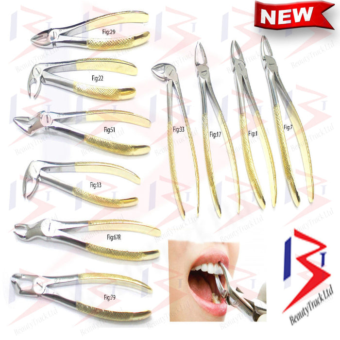 Dental Extraction Forceps Upper Lower Molars Surgical Instruments
